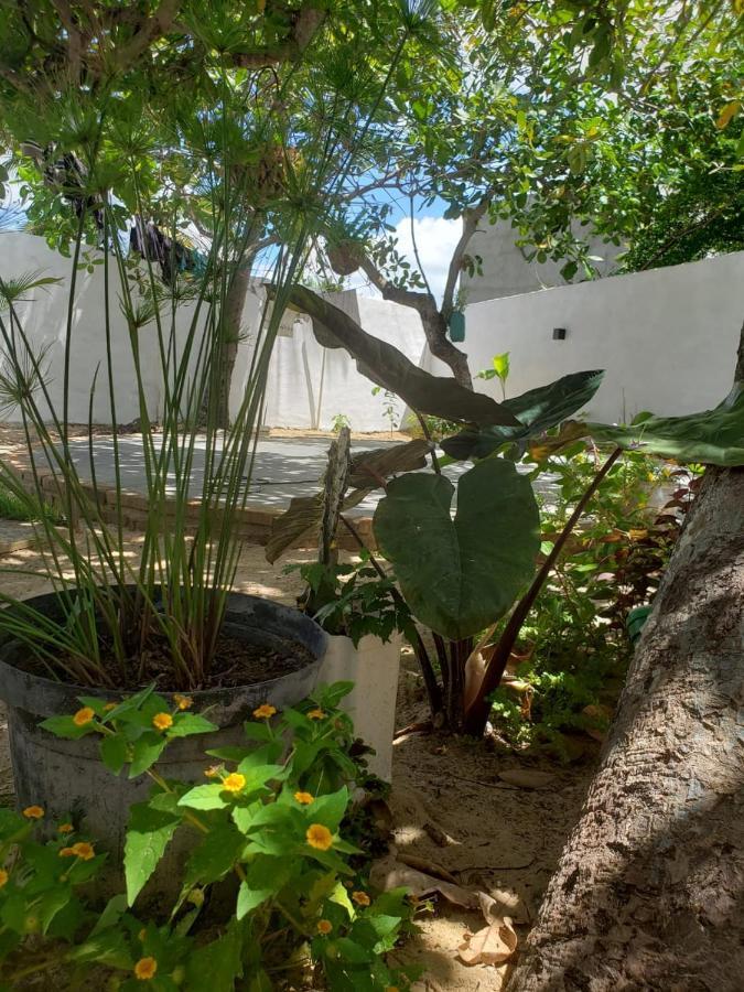 Casa Pipa Bg Hotel Barra Grande  Ngoại thất bức ảnh